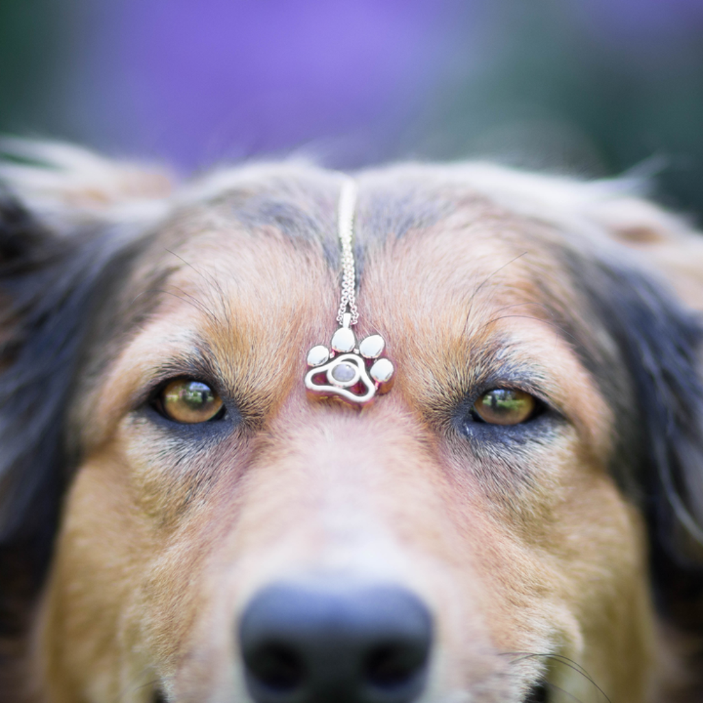Pet Photo Necklace